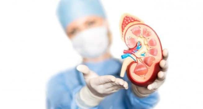 diseases--kidney