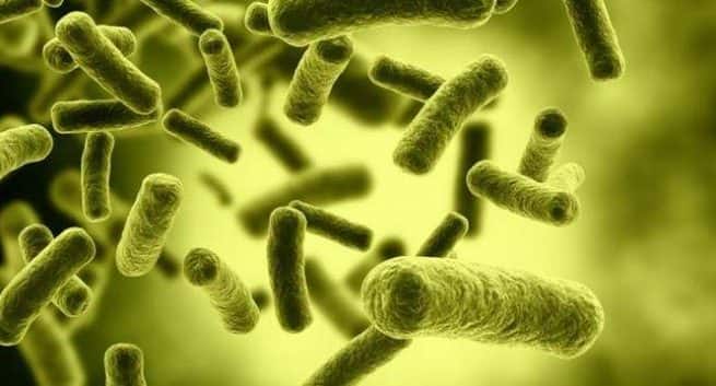 Des scientifiques inventent un outil peu coûteux pour détecter les bactéries dans les aliments