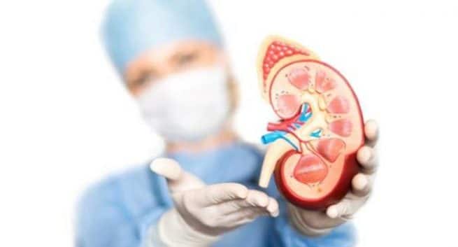 kidney-health123