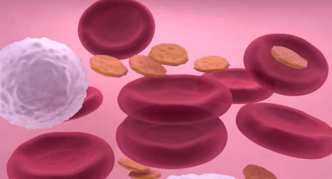 La perte de plaquettes est-elle toujours risquée dans la dengue? Voici 5 risques des transfusions de plaquettes