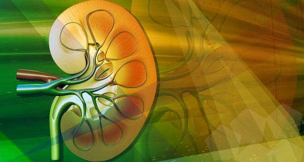 La vie des patients sous dialyse à long terme peut être prolongée par transplantation rénale 4 news-diseases-kidney-transplant-THS