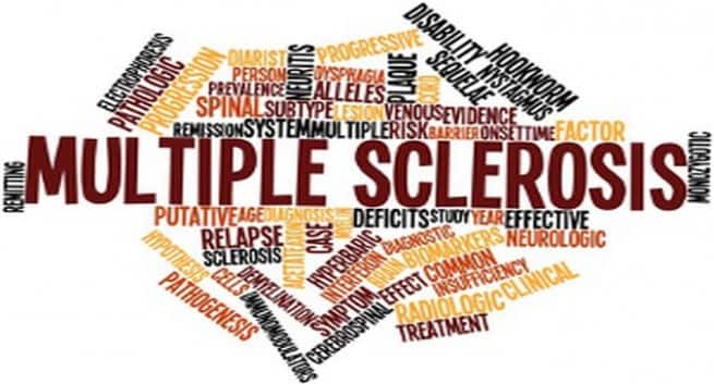Les fruits et légumes peuvent aider à réduire les symptômes de la sclérose en plaques 4 multiplesclerosis