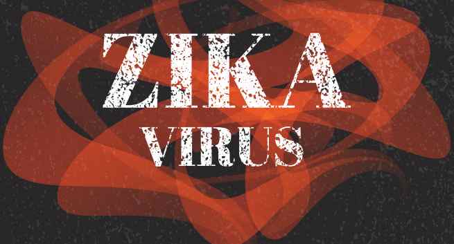 Les dommages causés par le virus Zika peuvent ne pas être détectés pendant la grossesse: étude 5 zika-virus