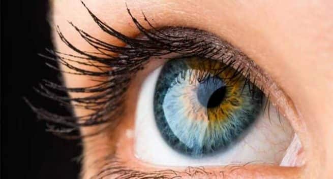 Les mythes sur le don d'oeil brisés 4 Eye Donation in hindi