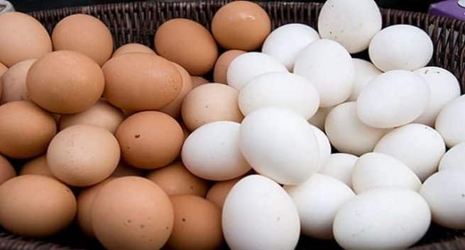 Les œufs bruns sont meilleurs que les blancs, les œufs augmentent le cholestérol + d'autres mythes brisés 5 eggs main image