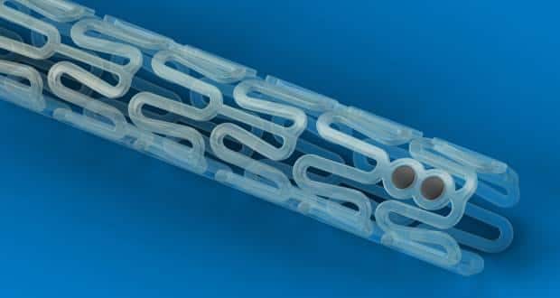 bioabsorbable stents