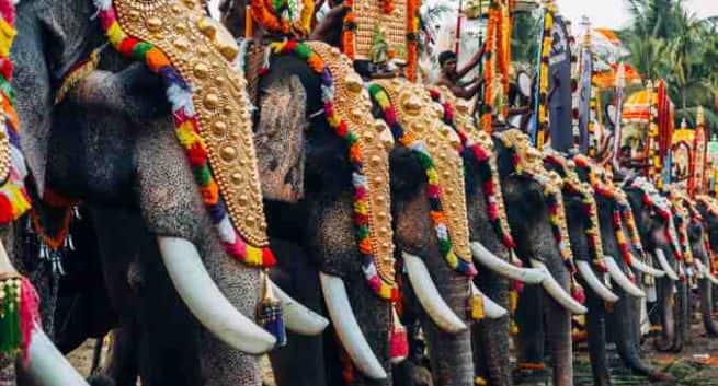 Menace terroriste de l'Etat islamique pour Kumbh Mela et Thrissur Pooram - suivez ces conseils de sécurité alimentaire dans les foires et festivals 4 Menace terroriste de l'Etat islamique pour Kumbh Mela et Thrissur Pooram - suivez ces conseils de sécurité alimentaire dans les foires et festivals