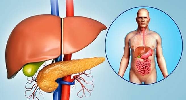 Signs-your-pancreas-is-not-working-properly signs your pancreas is not working properly