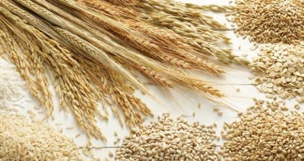 whole grains