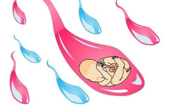 La pollution de l'air peut réduire la qualité de votre sperme 1 Sperm