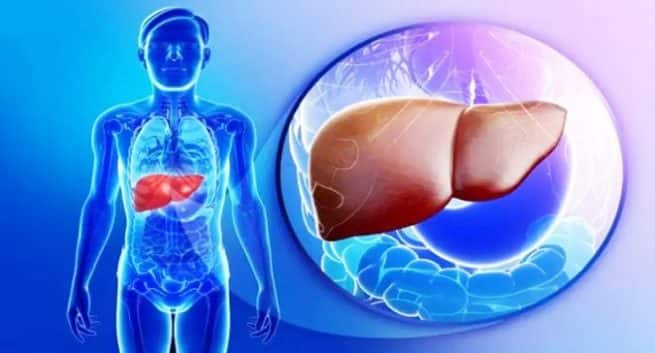 HepBest - une pilule contre l'hépatite B lancée en Inde 4 Hepatitis-c