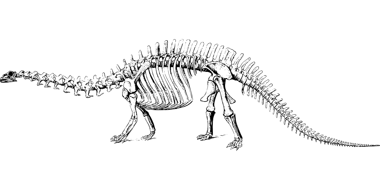 blague dinosaure