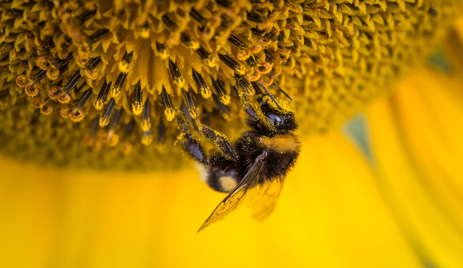 Farine d'insecte comestible : 5 avantages surprenants à découvrir 7 farine d'insecte comestible