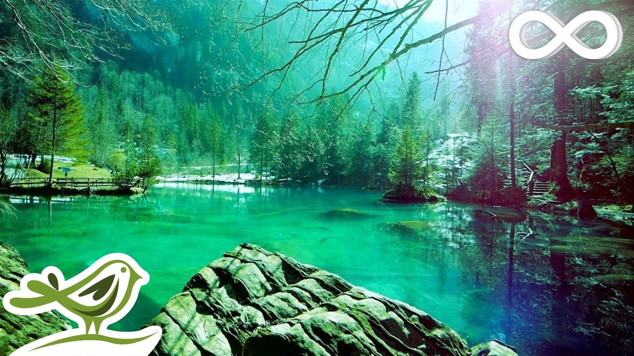 Meditation YouTube : 7 pratiques pour apaiser votre esprit 2 meditation youtube
