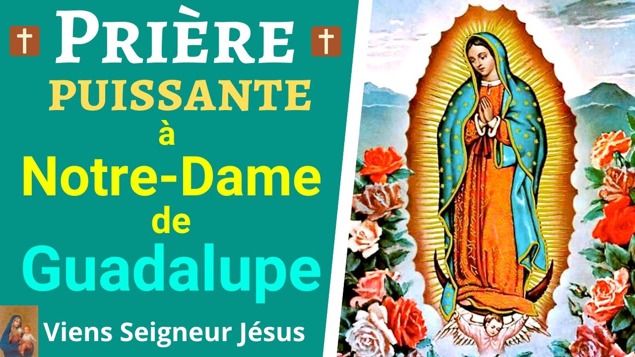 Notre Dame de Guadalupe : 7 trésors à découvrir en 2025 3 notre dame de guadalupe