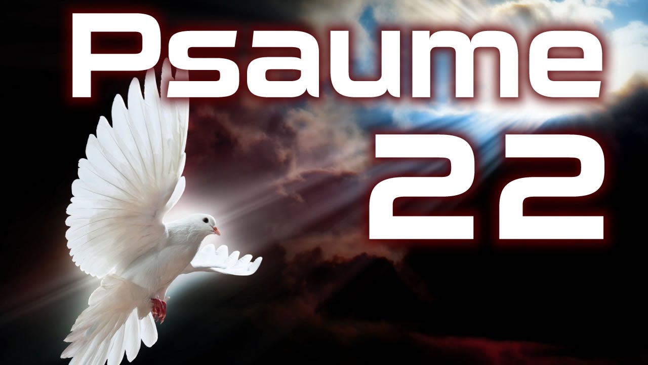 Psaume 22 : 7 vérités spirituelles qui éclairent votre chemin 4 psaume 22