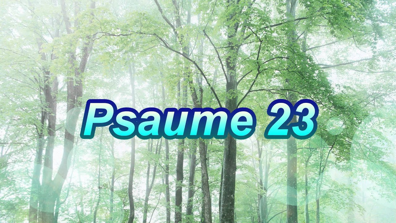 2 psaume 23