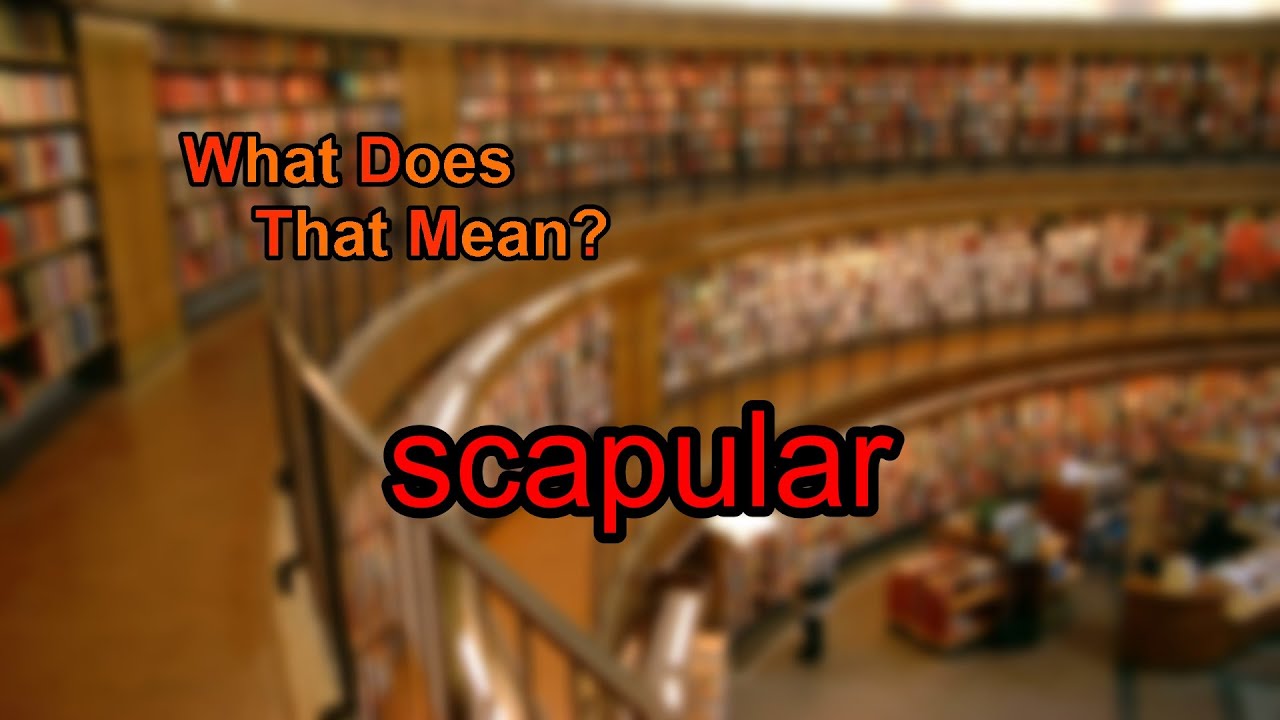 Scapulaire def : 5 points clés pour comprendre cet outil essentiel 1 scapulaire def