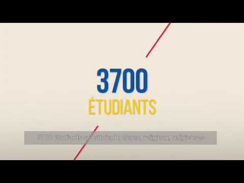 Institut catholique de Toulouse : 5 raisons de s'y inscrire ! 3 institut catholique de toulouse