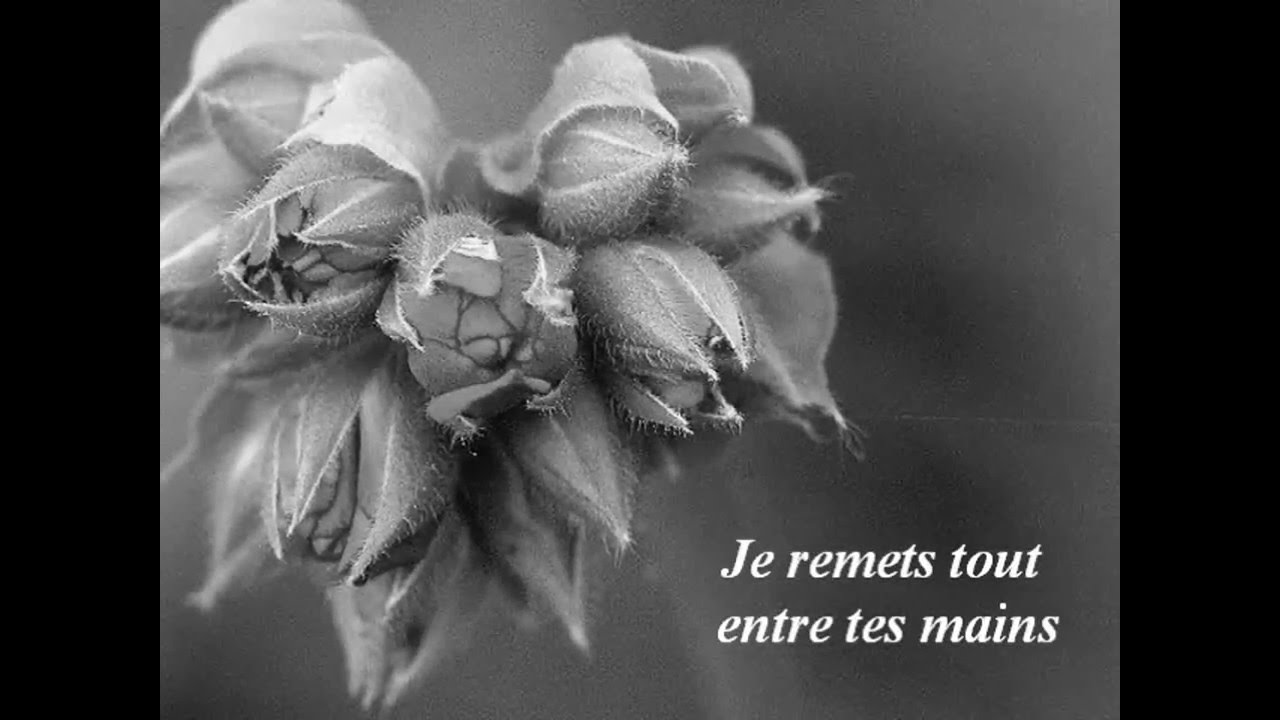 je remets