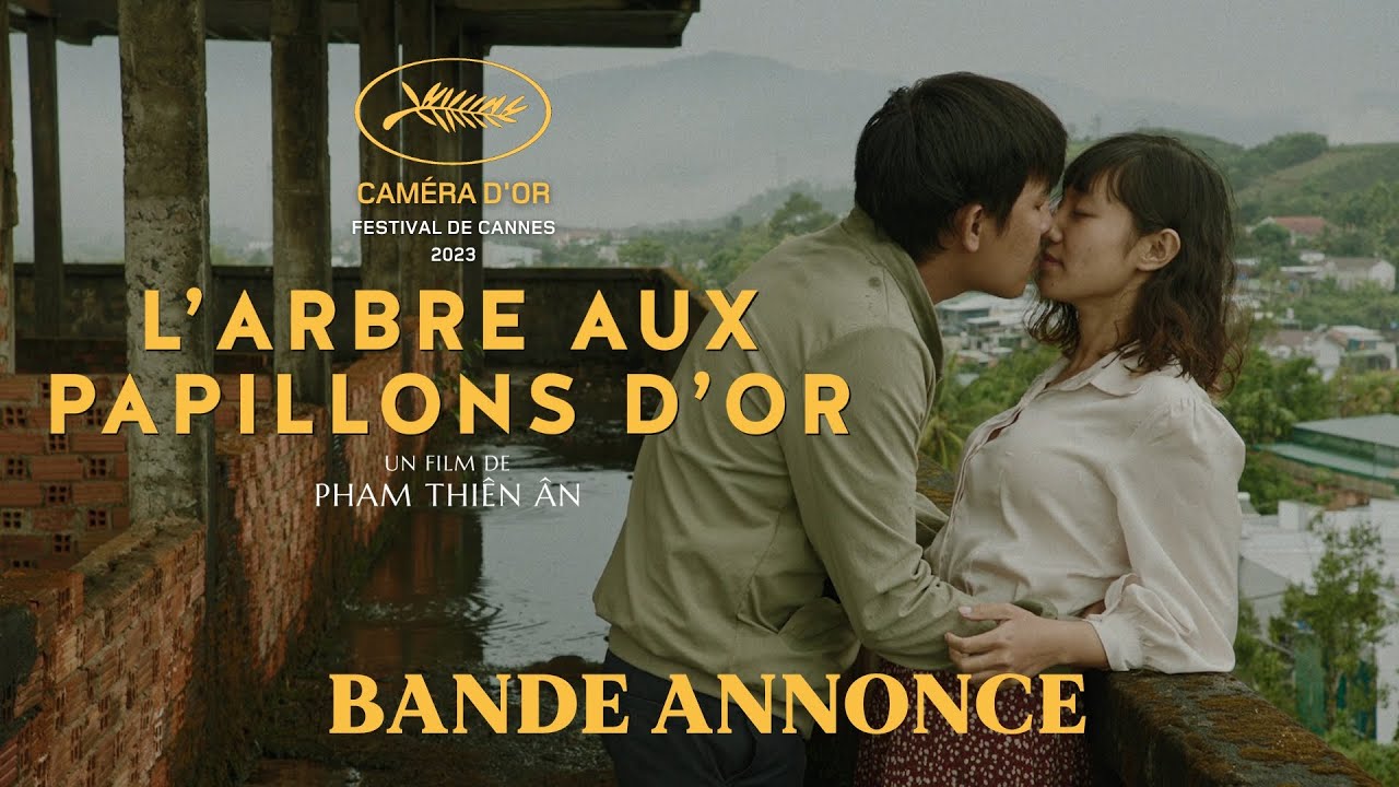 L'arbre aux papillons d'or : 7 secrets pour l'admirer ! 5 l\'arbre aux papillons d\'or