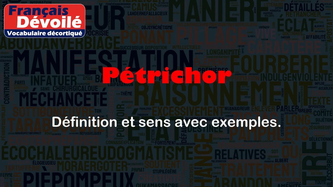 Pétrichor : 7 bienfaits surprenants de la pluie sur la nature 2 pétrichor