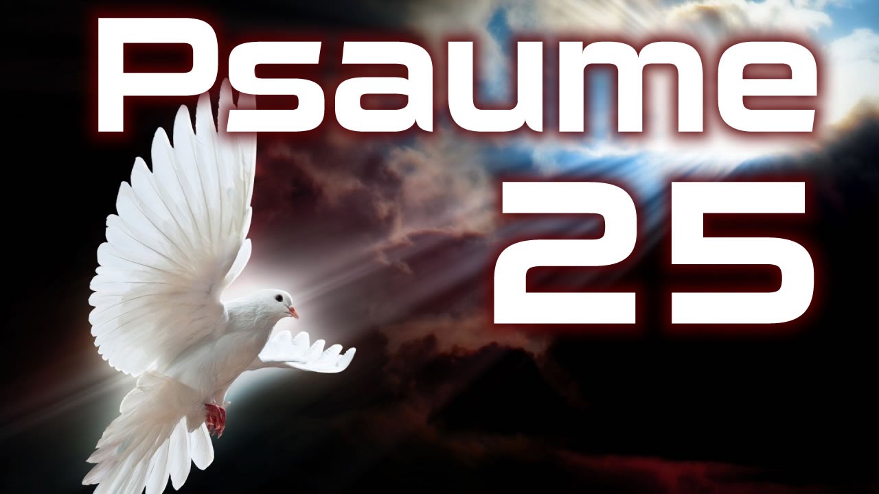 Psaume 25 : 7 leçons sur la foi à découvrir absolument 1 psaume 25