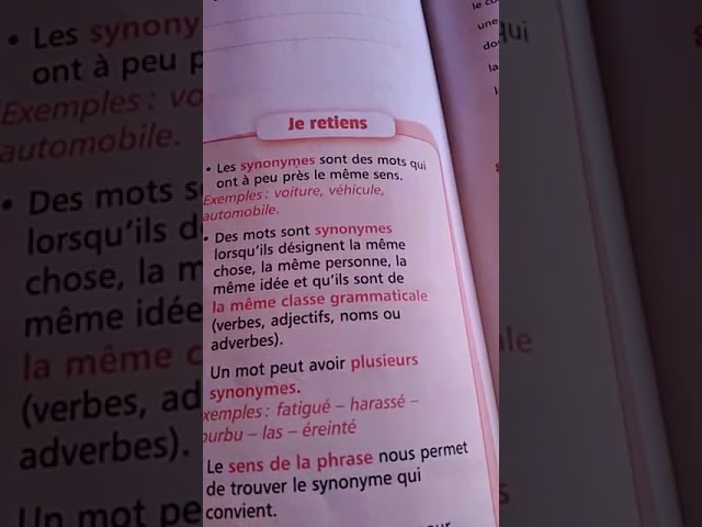 règle synonyme