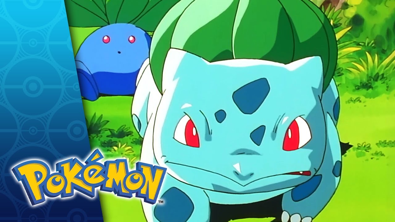 Bulbasaur 7 fascinerande fakta du inte visste om den! 9 bulbasaur