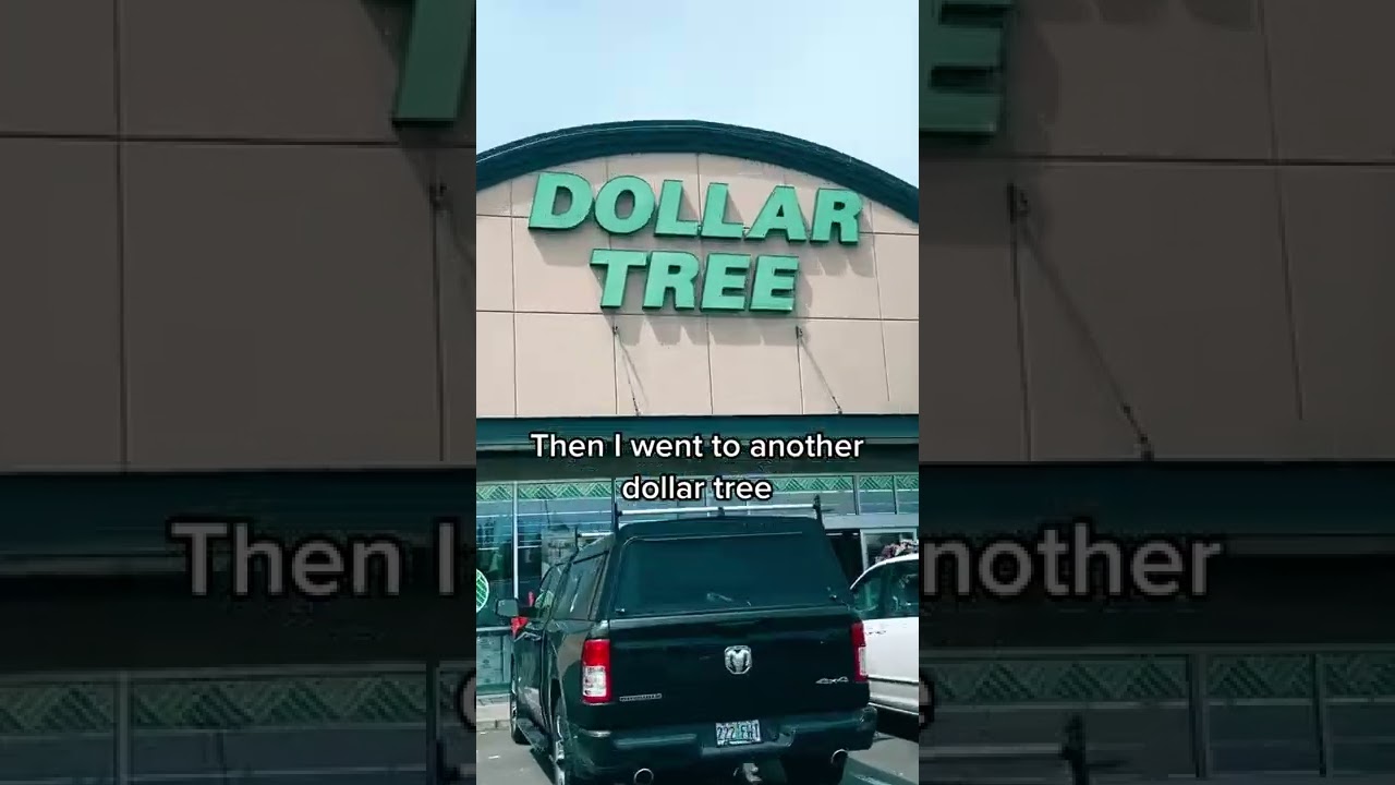 Dollarstore sortiment 7 hemligheter för smart shopping 9 dollarstore sortiment