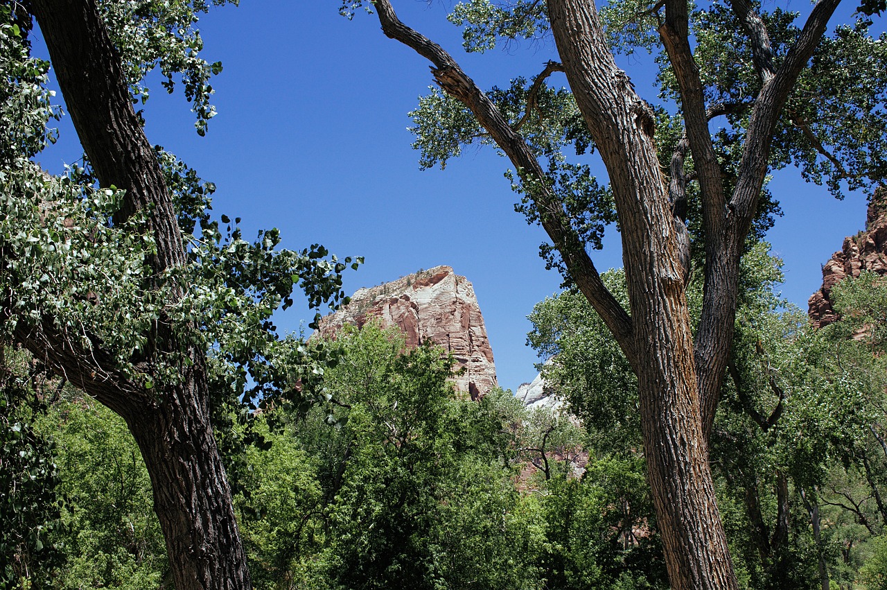 Gratis schabloner att skriva ut: 7 kreativa idéer för hemmet 7 gratis schabloner att skriva ut