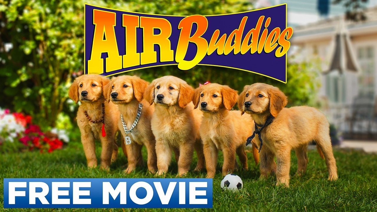 hundfilm barn
