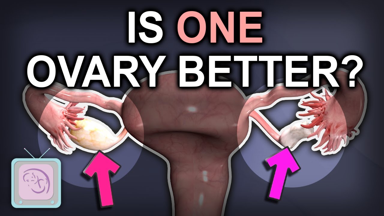 Ont i äggstock gravid? 5 orsaker du bör känna till! 9 ont i äggstock gravid