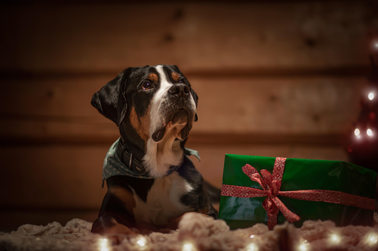 Present pojkvän 7 kreativa idéer som han kommer älska 9 present pojkvän