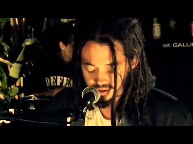 soja gravid