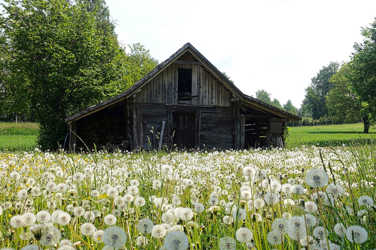 Spruckna läppar barn 7 effektiva tips för snabba resultat 9 spruckna läppar barn