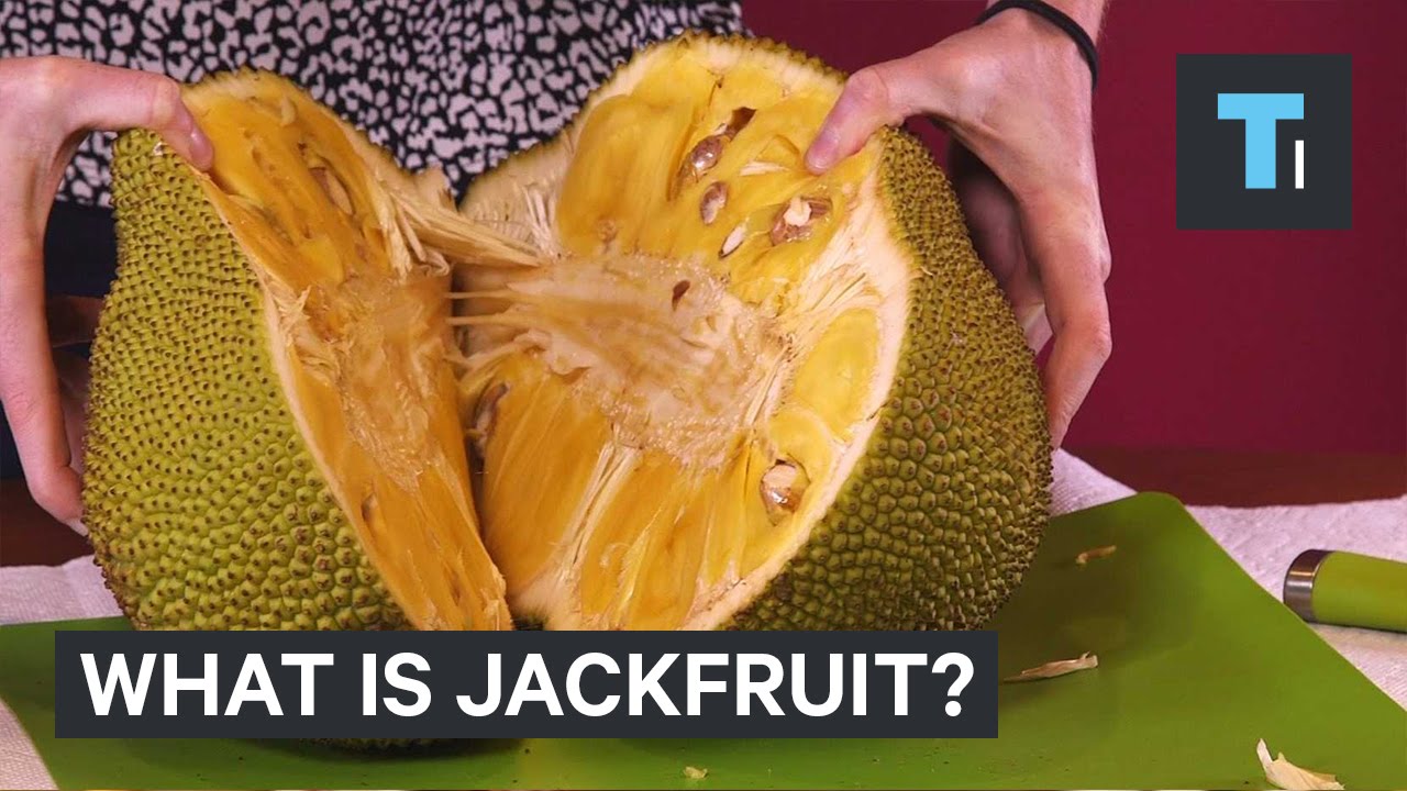 Vad är jackfruit? 7 fantastisk fakta du inte visste! 8 vad är jackfruit