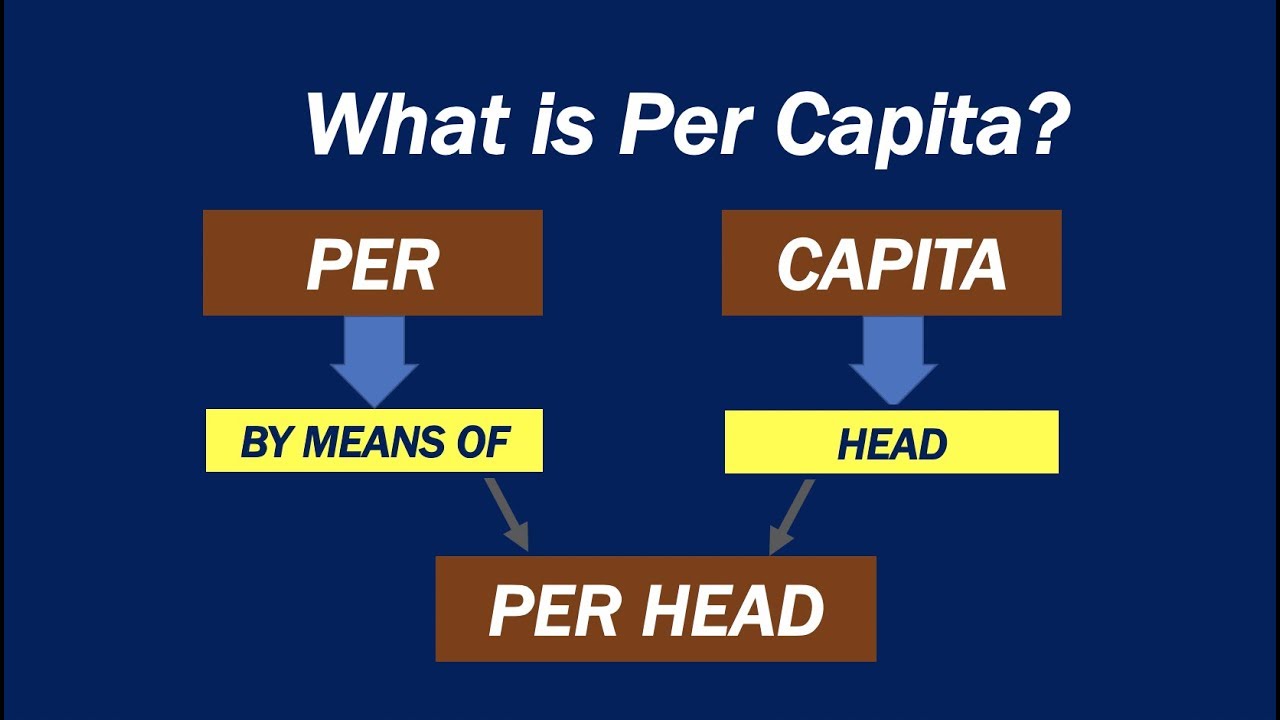 BNP per capita: 7 faktorer som påverkar ekonomin! 7 bnp per capita