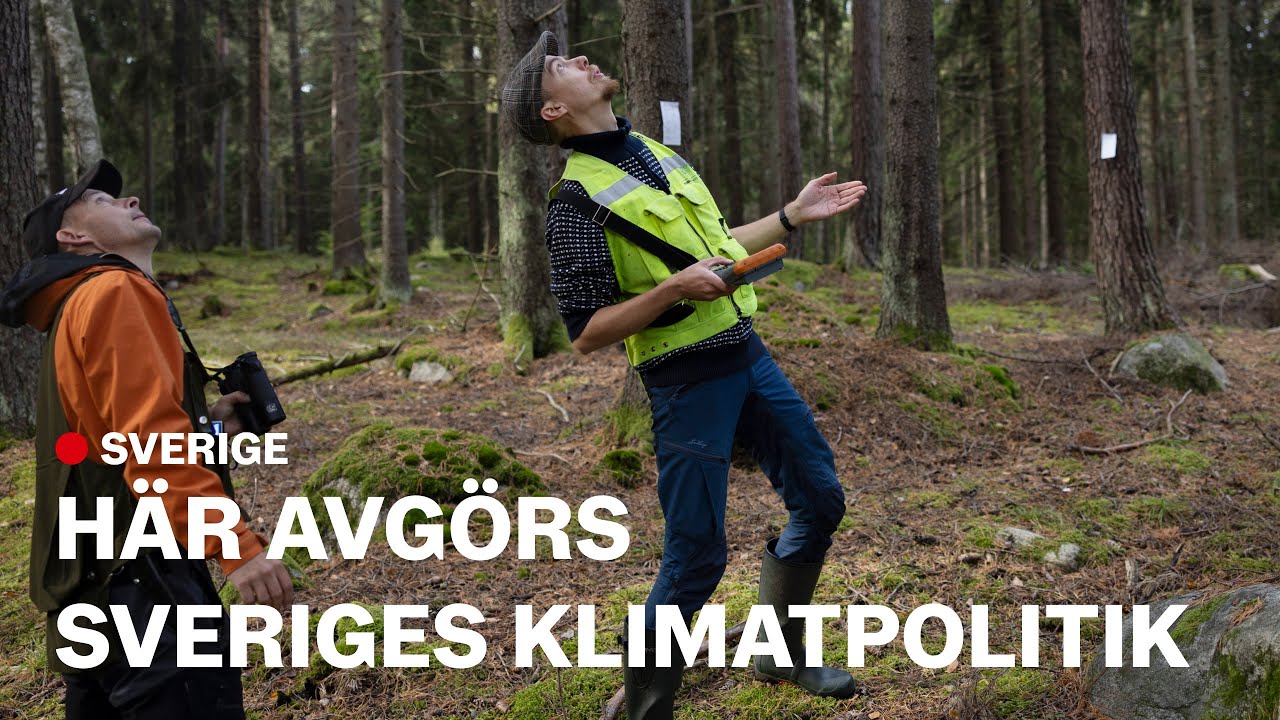 Dagens bensinpris: 5 tips för att spara på bränslet 10 dagens bensinpris