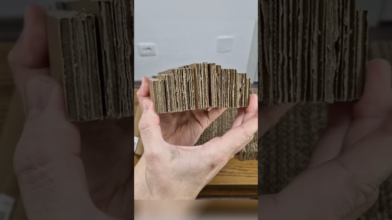 Kathus kartong 7 kreativa sätt att underhålla din katt 9 katthus kartong
