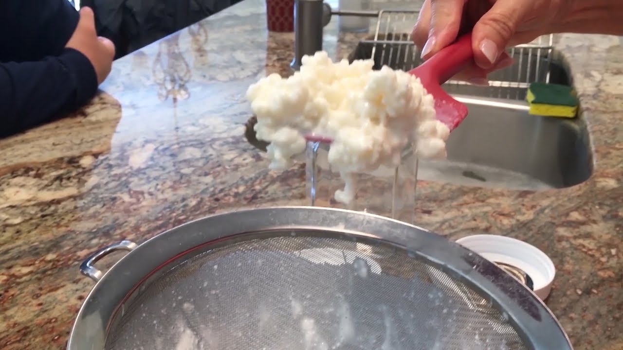kefir