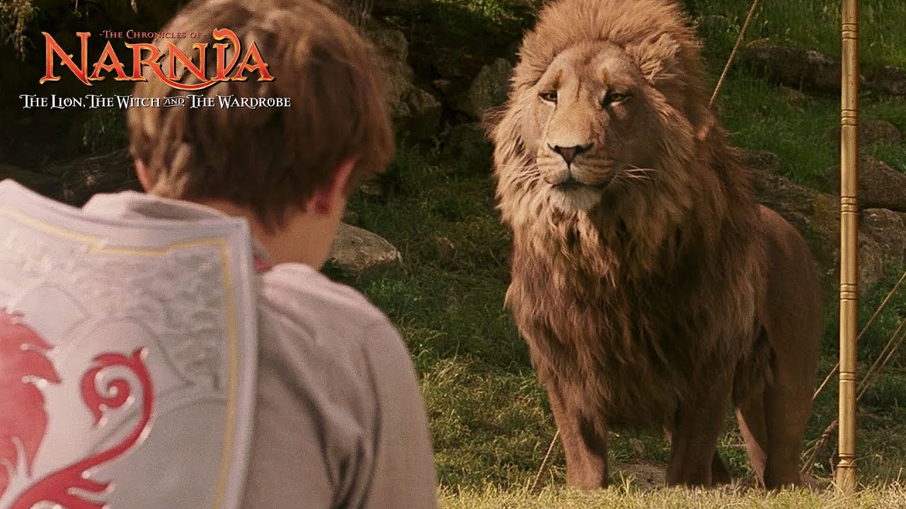 Lejon i Narnia namn: 7 fascinerande fakta du inte visste 7 lejon i narnia namn