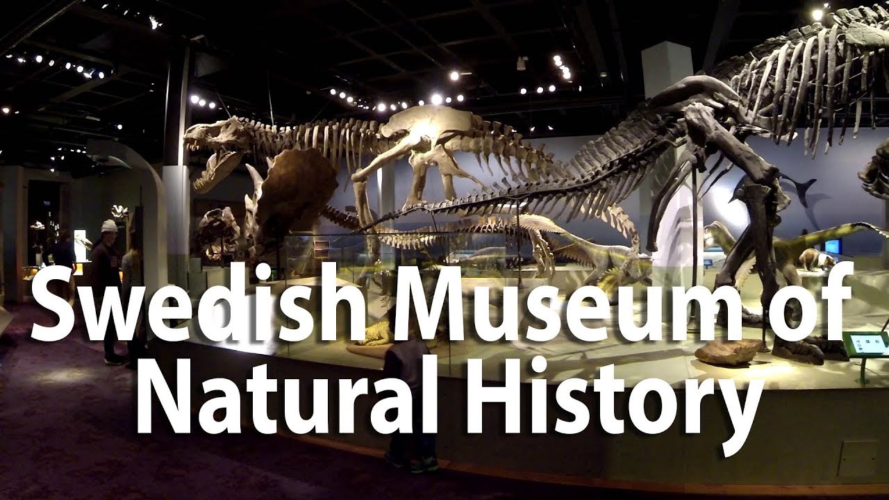 Naturhistoriska museet 7 fantastiska upptäckter du inte får missa 9 naturhistoriska museet