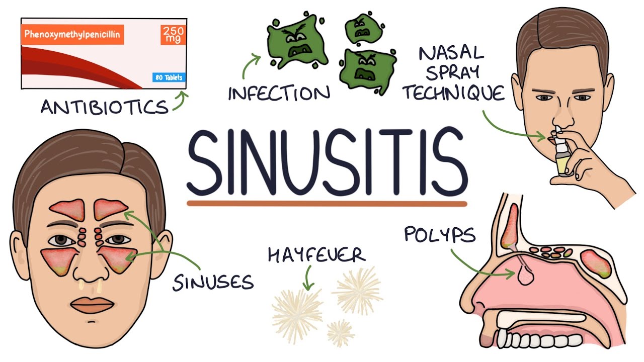 Sinus 7 fascinerande fakta du inte visste om trigonometrin 7 sinus