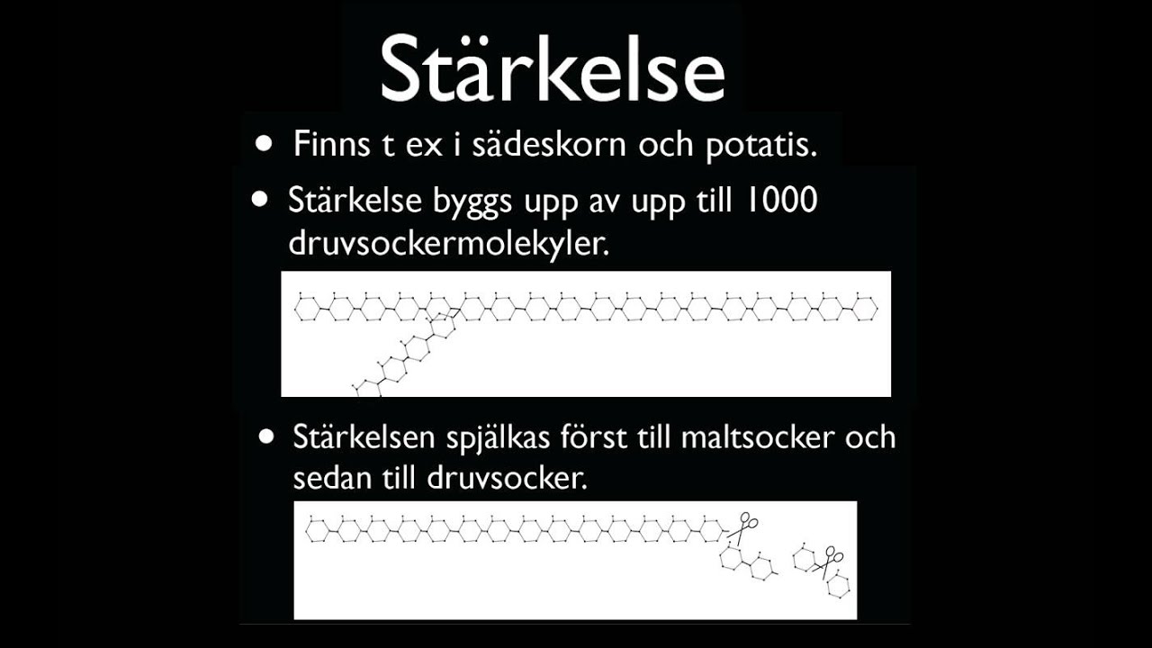 Vad är stärkelse? 5 fascinerande fakta du bör veta! 7 vad är stärkelse