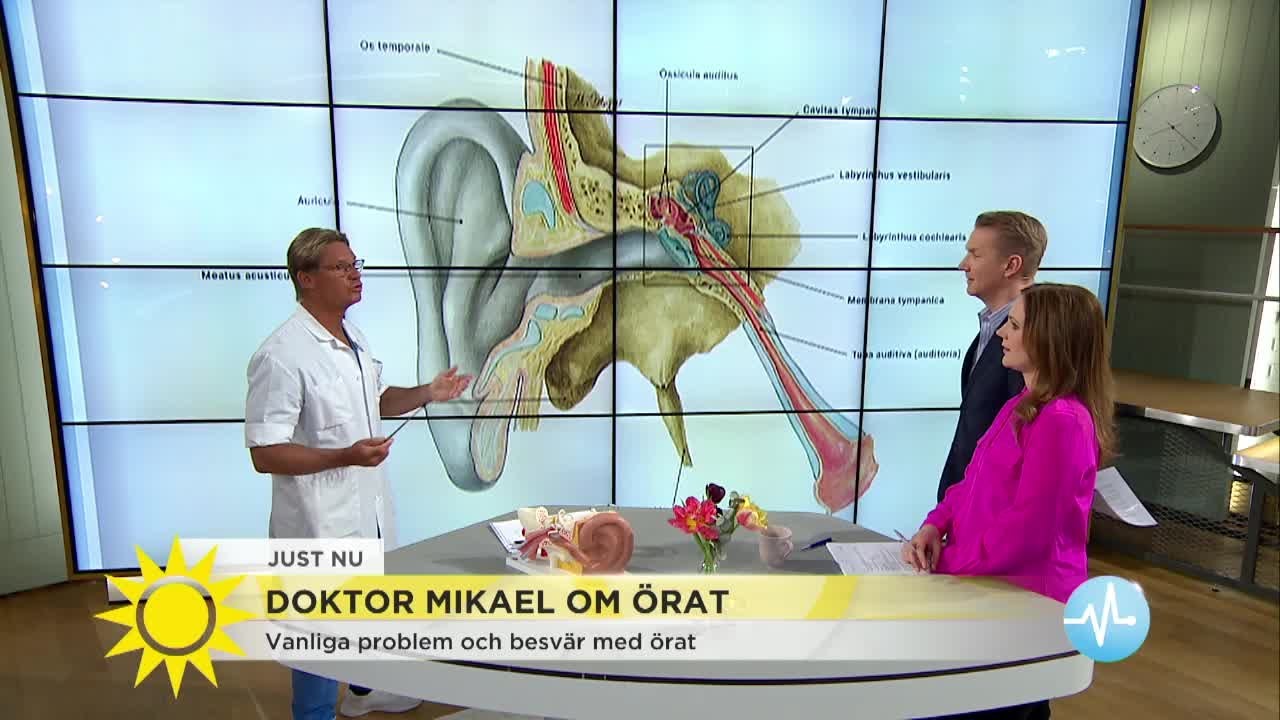 Vax i örat barn: 5 enkla tips för att göra rent säkert 7 vax i örat barn