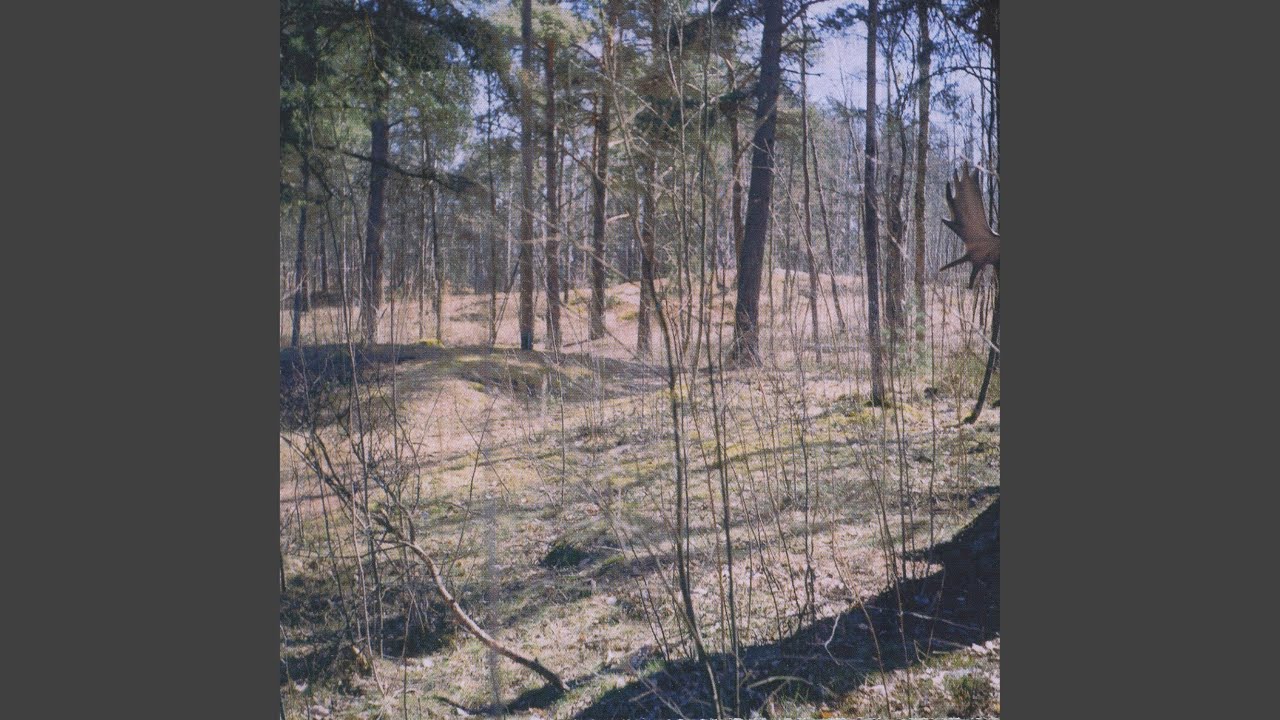 viloläge