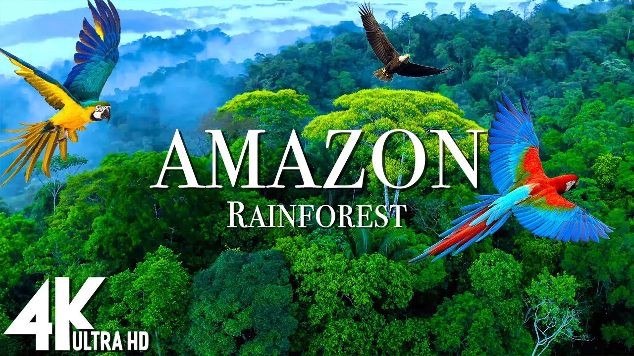 Amazonas 2025: 7 fascinerande fakta du mÄste veta 9 amazonas