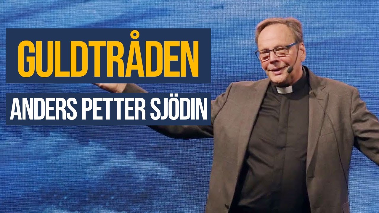 Anders Petter: 5 steg till framgång 2025! 7 anders petter