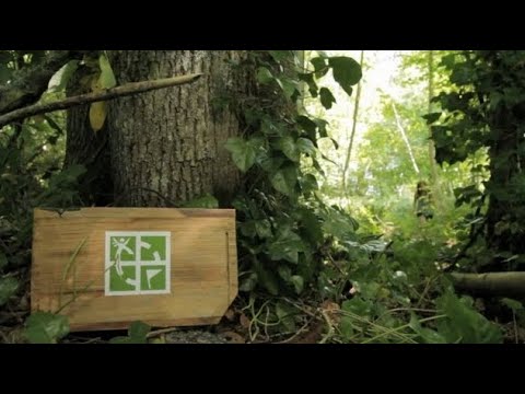 Geocaching 2025: 7 tips för att hitta skatter effektivt 7 geocaching